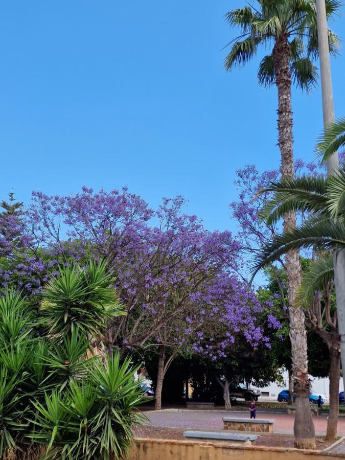 "Vero Vijola" In Torrevieja Luaran gambar