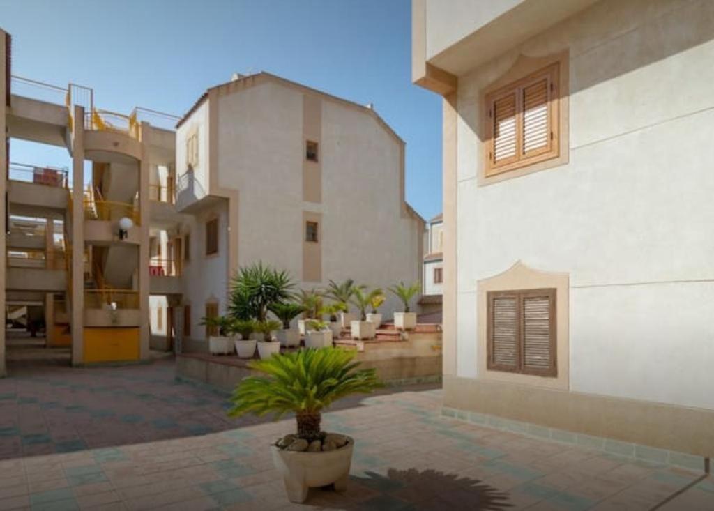 "Vero Vijola" In Torrevieja Luaran gambar
