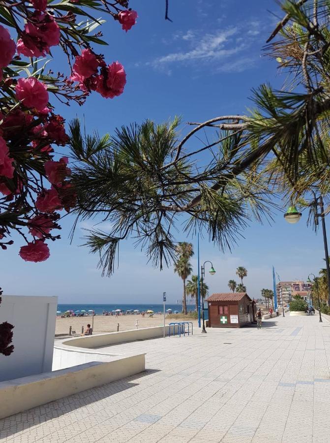 "Vero Vijola" In Torrevieja Luaran gambar
