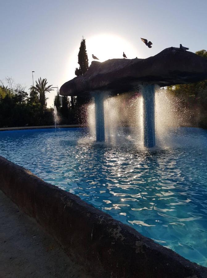 "Vero Vijola" In Torrevieja Luaran gambar
